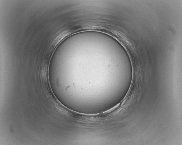 X0000116291273200911301411