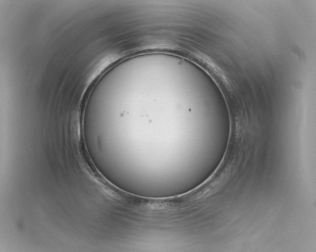 X0000116291274200911301411