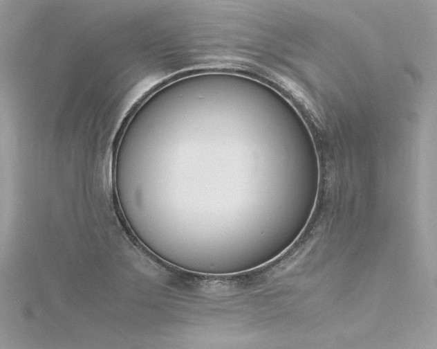 X0000116291275200911301411