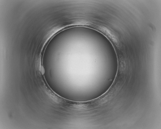 X0000116291276200911301411