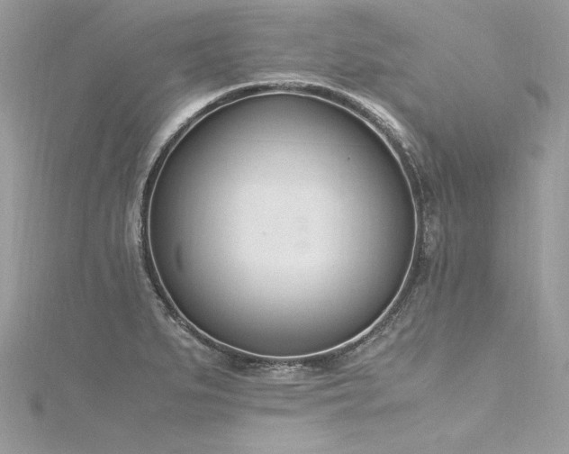 X0000116291279200911301411