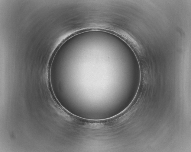 X0000116291280200911301411