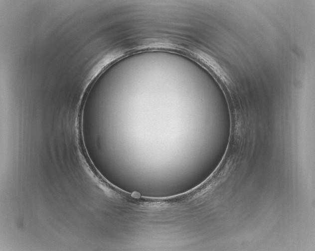 X0000116291282200911301411