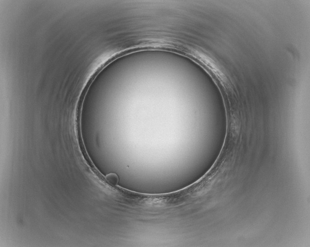 X0000116291283200911301411