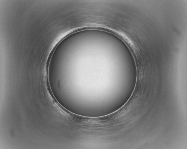 X0000116291287200911301411