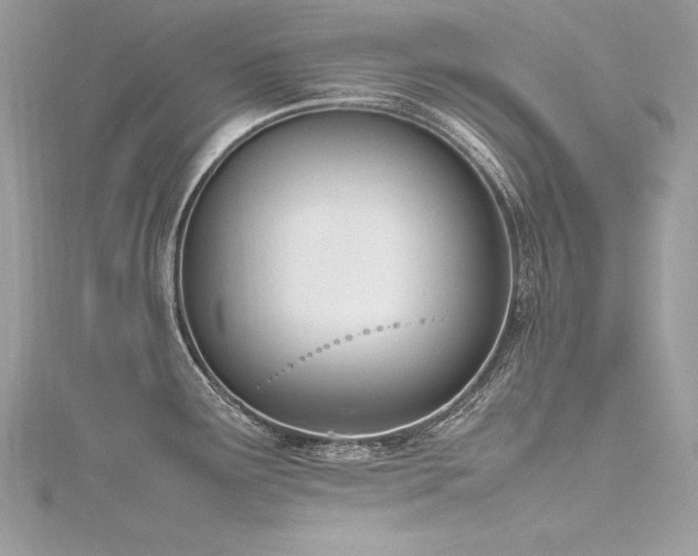 X0000116291291200911301411