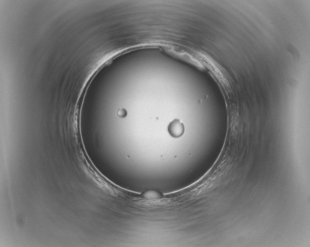 X0000116291292200911301411