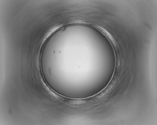 X0000116291293200911301411