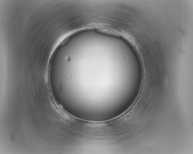 X0000116291296200911301411