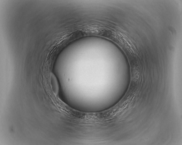 X0000116291297200911301410