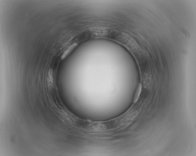 X0000116291298200911301410