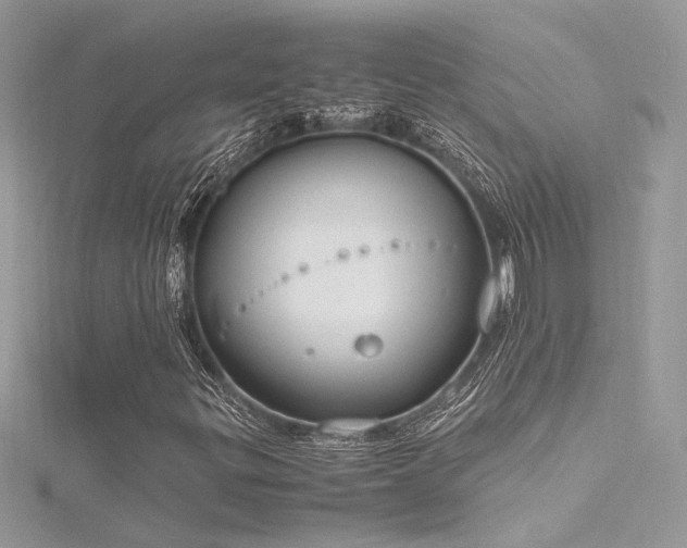 X0000116291299200911301410