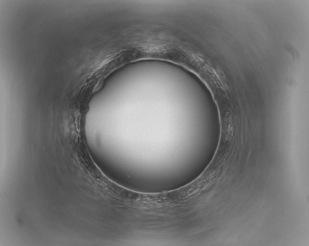 X0000116291301200911301410