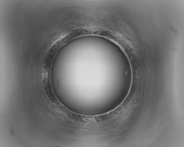 X0000116291302200911301410