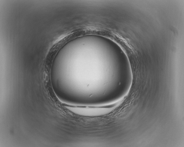 X0000116291303200911301410