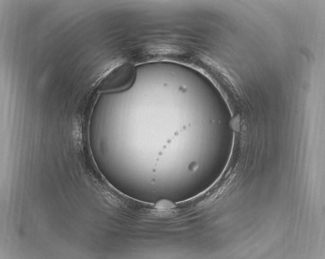 X0000116291305200911301410