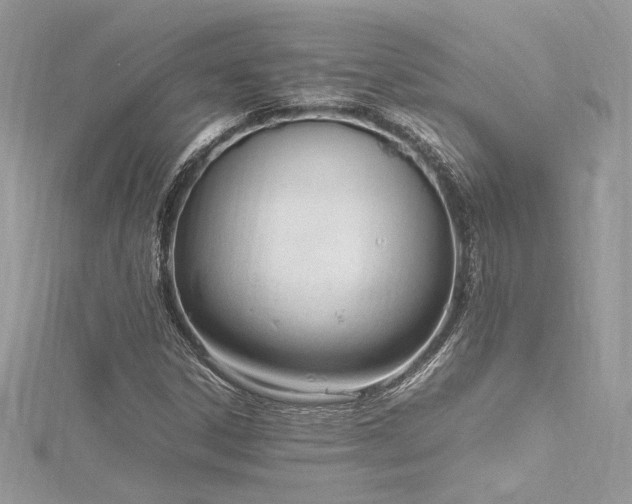 X0000116291306200911301410