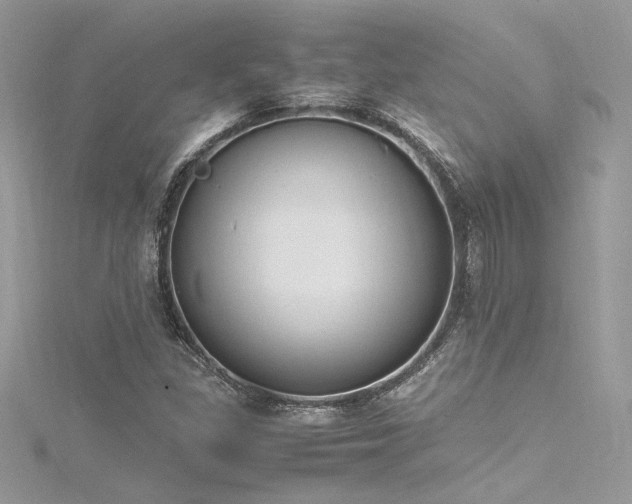 X0000116291309200911301411