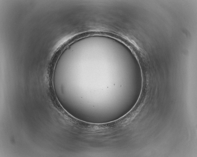 X0000116291311200911301411