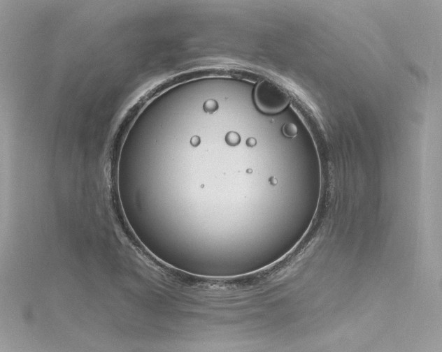 X0000116291318200911301411