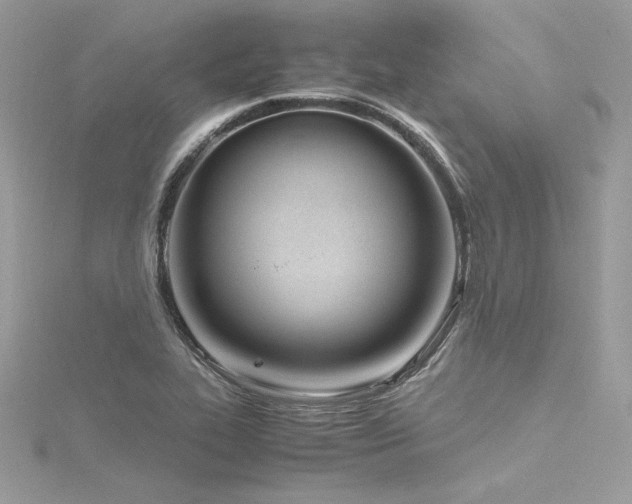 X0000116291319200911301411