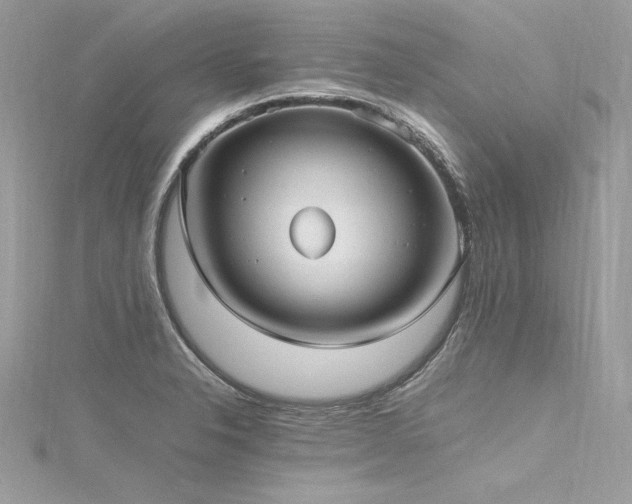 X0000116291326200911301411