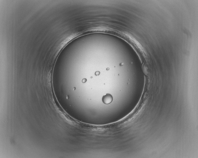 X0000116291329200911301411