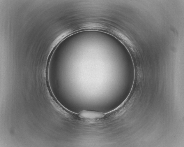 X0000116291330200911301411