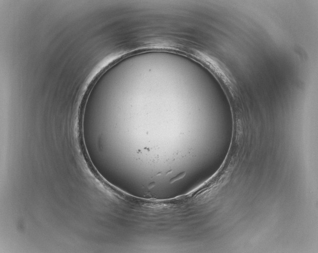 X0000116291331200911301411