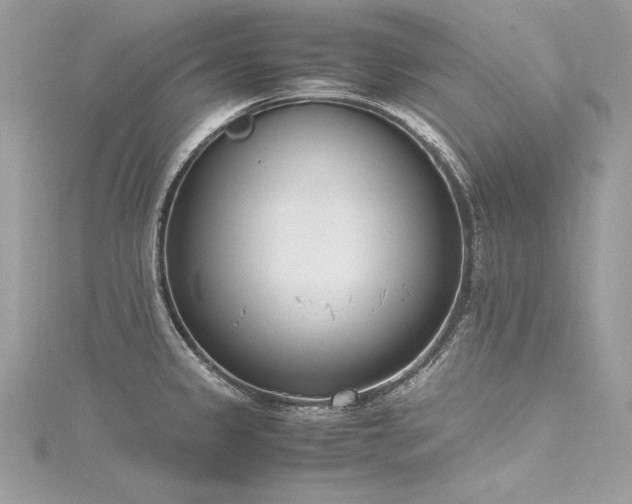 X0000116291333200911301411