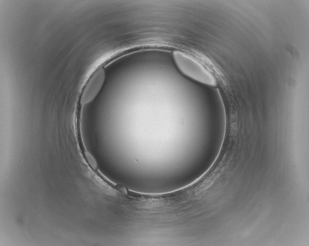 X0000116291334200911301411