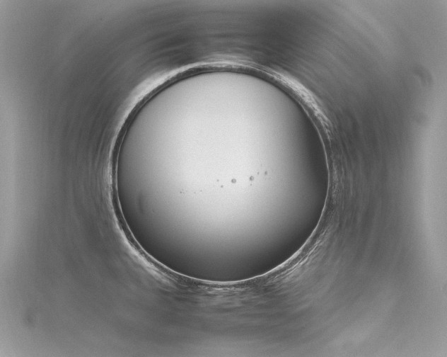 X0000116291335200911301411