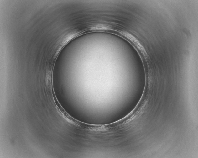 X0000116291337200911301411