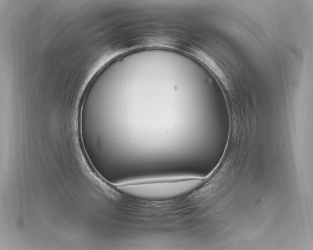 X0000116291339200911301411