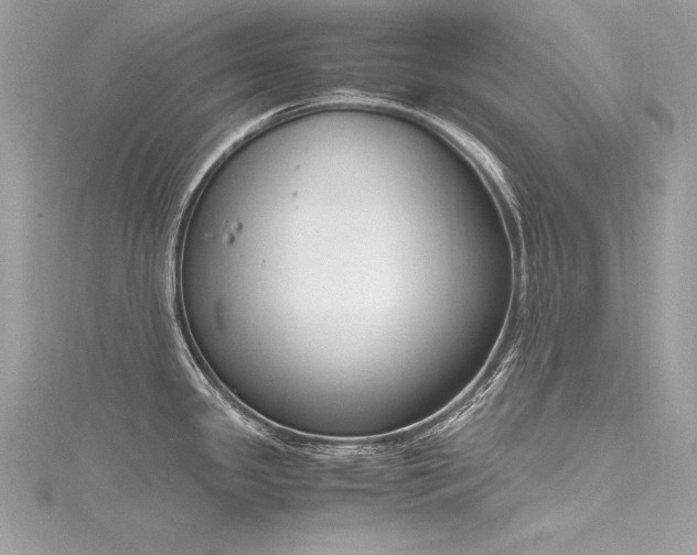 X0000116291341200911301411