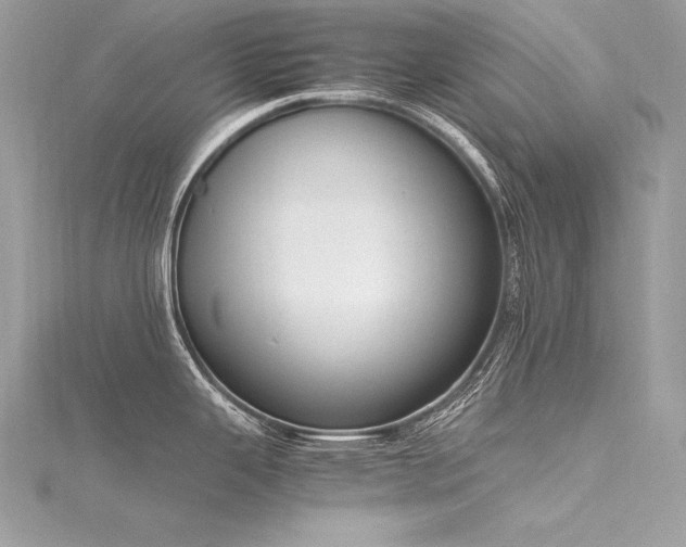 X0000116291343200911301411