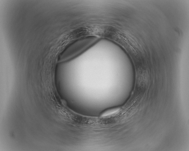 X0000116291345200911301410