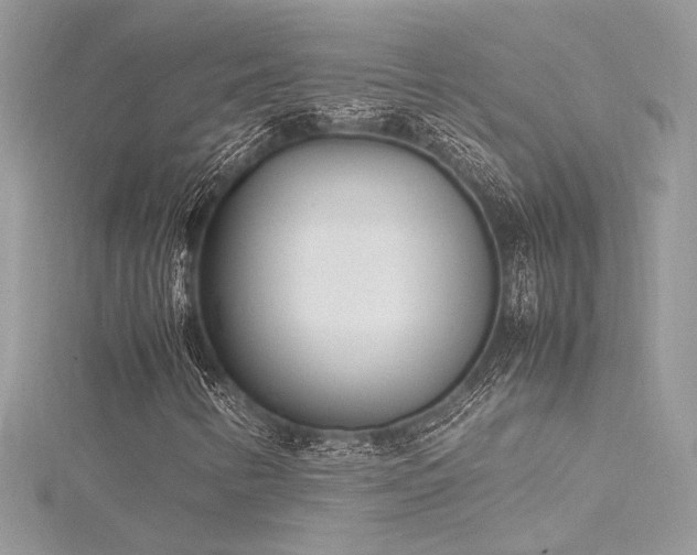 X0000116291346200911301410