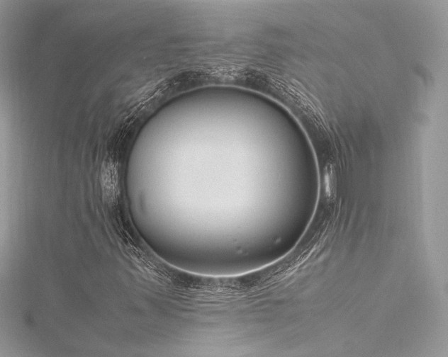 X0000116291347200911301410