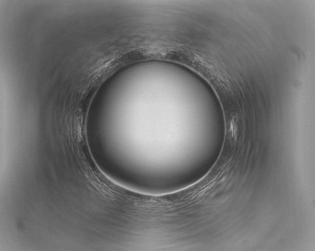 X0000116291348200911301410