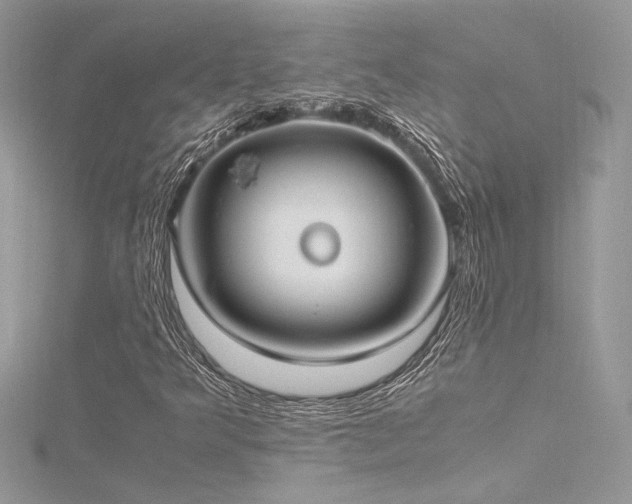 X0000116291349200911301410