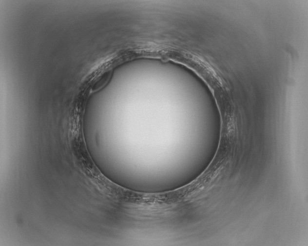 X0000116291350200911301410