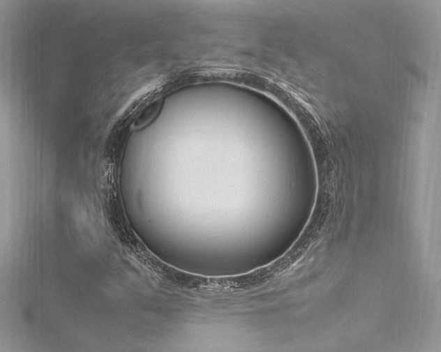 X0000116291351200911301410