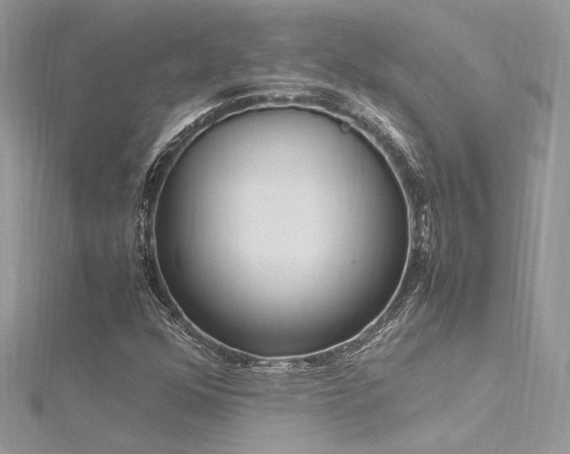 X0000116291352200911301410