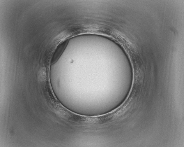 X0000116291353200911301410