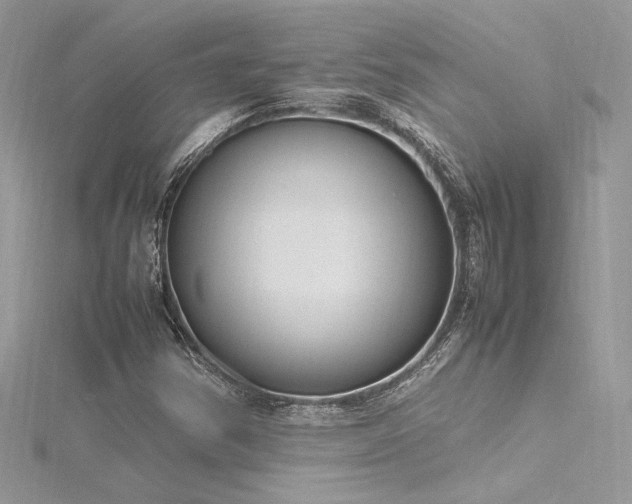 X0000116291354200911301410