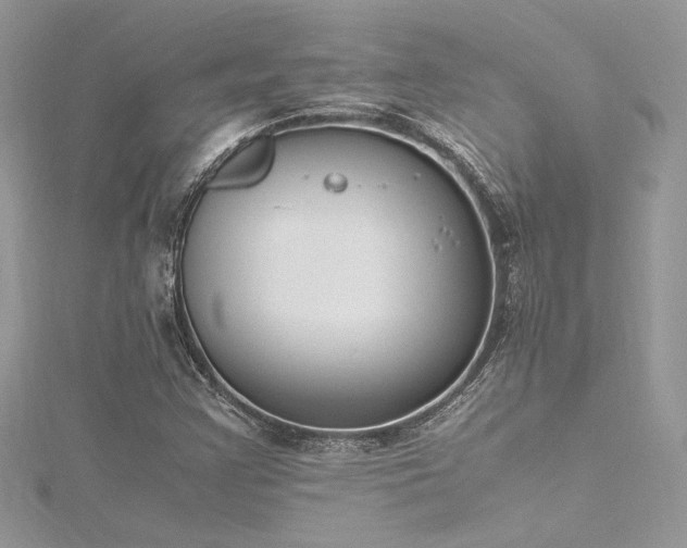 X0000116291355200911301410