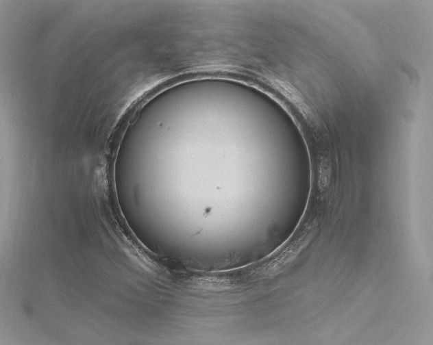 X0000116291356200911301410