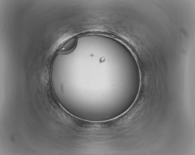 X0000116291359200911301410