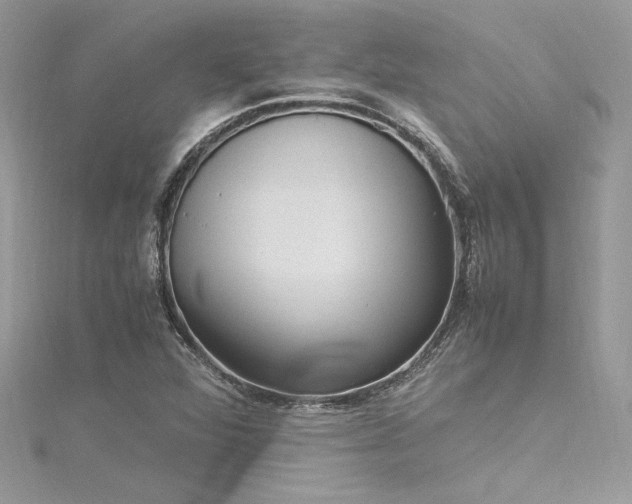 X0000116291360200911301410